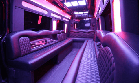 Hampton 14 Passenger Sprinter Bus Interior